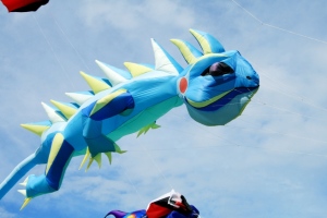 21st Cape Town International Kite Festival 