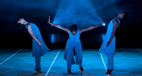 The Cape Dance Company - Blue 